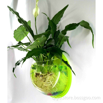 New Products Shenzhen Manufacturer acrylic wall mount fish bowl